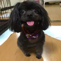 あ