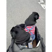 綾瀬 優