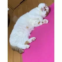 れみ