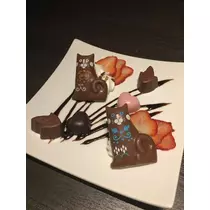 白石 愛莉
