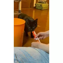ひめか