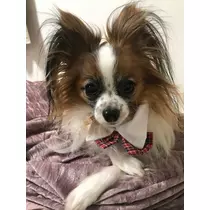 ティナ