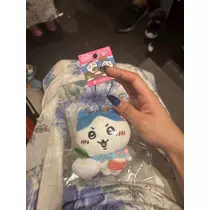 かびるんるんさわ
