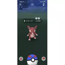 かんな