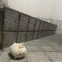 ちゃお