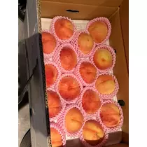 みらい