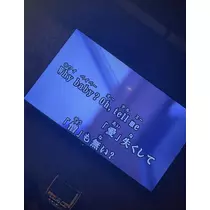 司