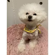 夏樹 あや