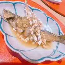 向日葵 ひまり