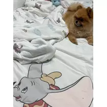 紬 むぎ