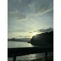 桜井 ちひろ