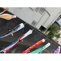かんな