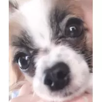 ティナ