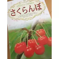白石 愛莉