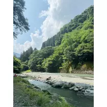 せら