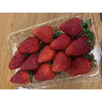 あんな