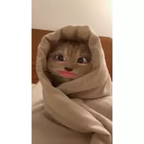 みぃな