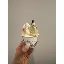紬 むぎ