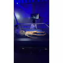 かずは