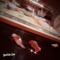 有栖川 りな
