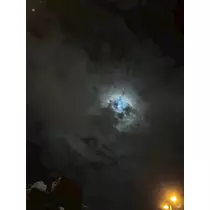 神崎 蘭