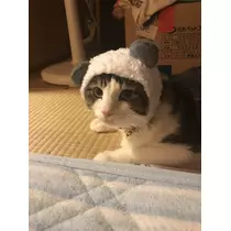あや