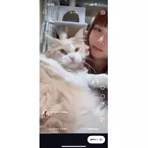 天羽 もか