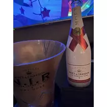 白石 愛莉