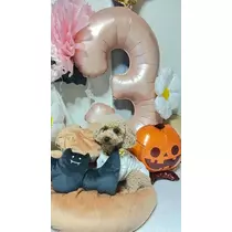 あいりちゃん