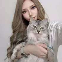 芹奈
