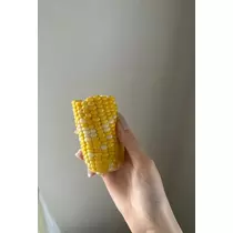 神崎 蘭