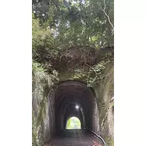 せら