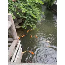 西園寺 ゆきみ