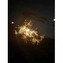 うるは