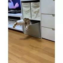 れみ