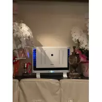 紫音