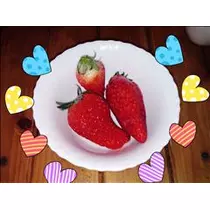 ゆうき