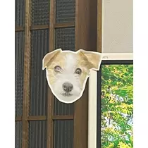 緑 四葉