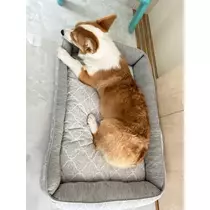 足立 はな