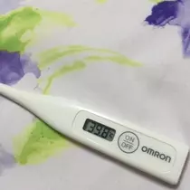 えりか
