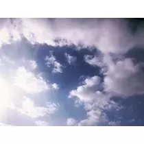 成海 まお