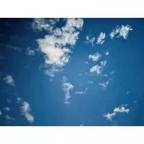 華宮 りりあ