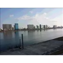 桃瀬 百華