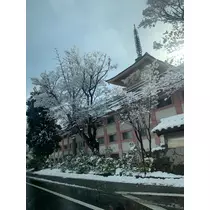 れみ
