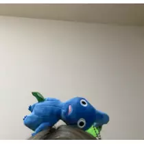 かのん