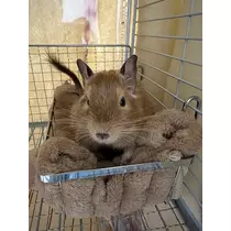 なっちゃん
