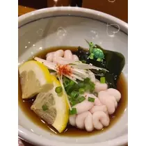 七星 夏純