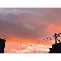 田中 レイ
