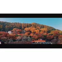 みか