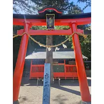桃園 かんな